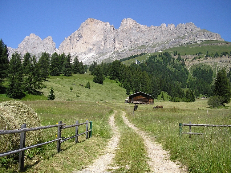 Rosengarten / Catinaccio, Dolomieten, Italië