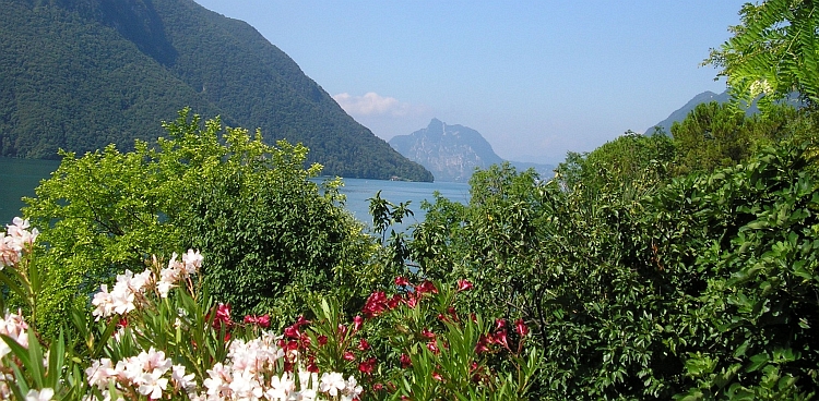 Lago di Lugano