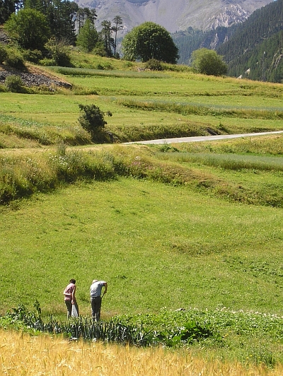 On the way to the Col d'Izoard, France