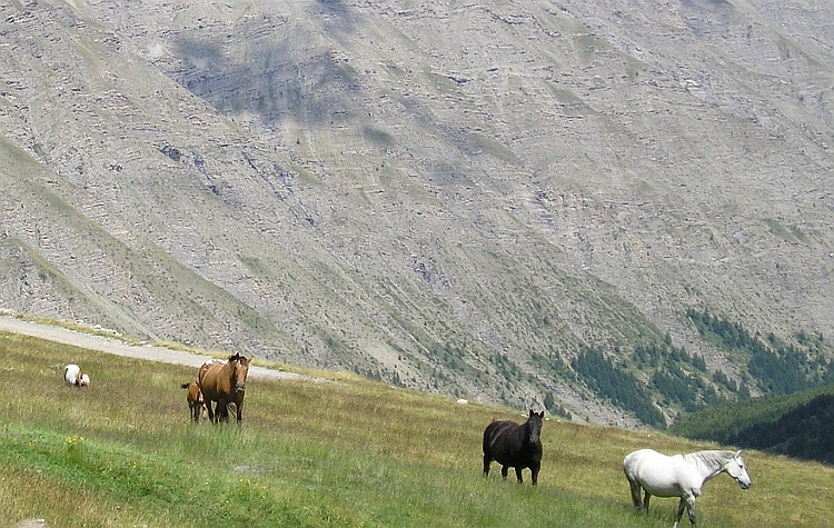 Descent of the Col du Parpaillon, France