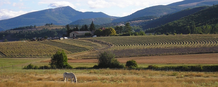 Landschap op de weg van Sault naar de Ventoux