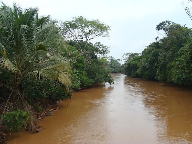 Rivier in de Colombiaanse laagvlakte