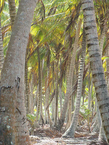 On the San Blas Islands