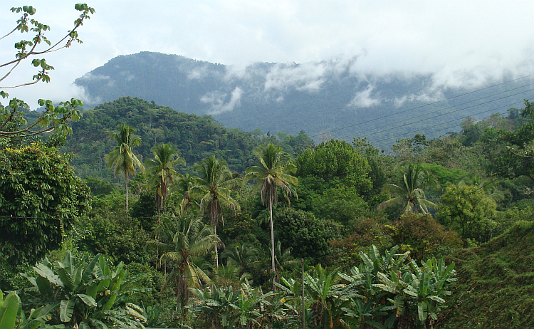 Landscape near Ciudad Neily