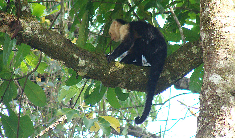 Costa Rica