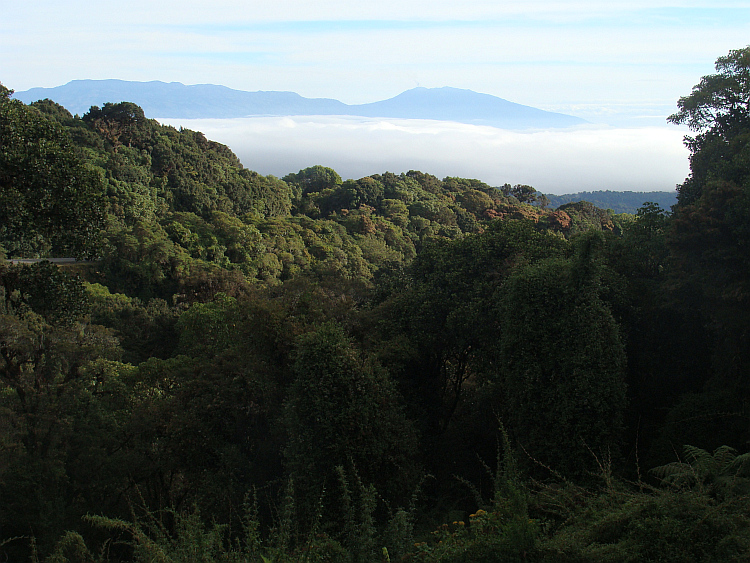 Hooglanden van de Cerro de la Muerte