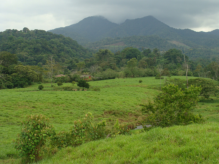 De groene heuvels van Costa Rica