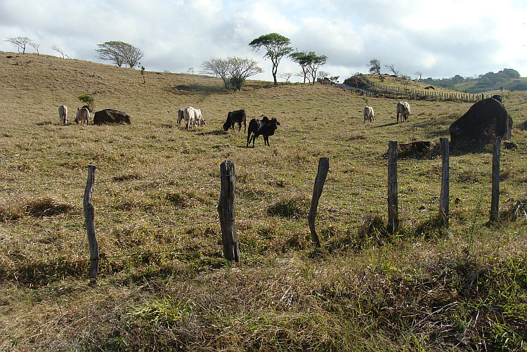 The dry north west of Costa Rica