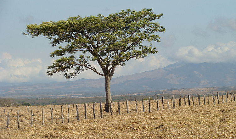 The dry north west of Costa Rica