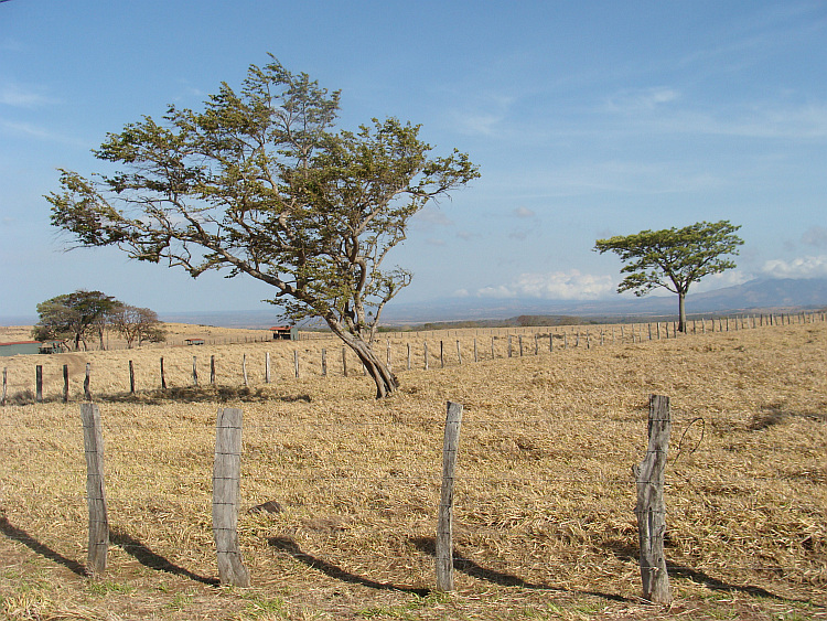 Het droge noordwesten van Costa Rica