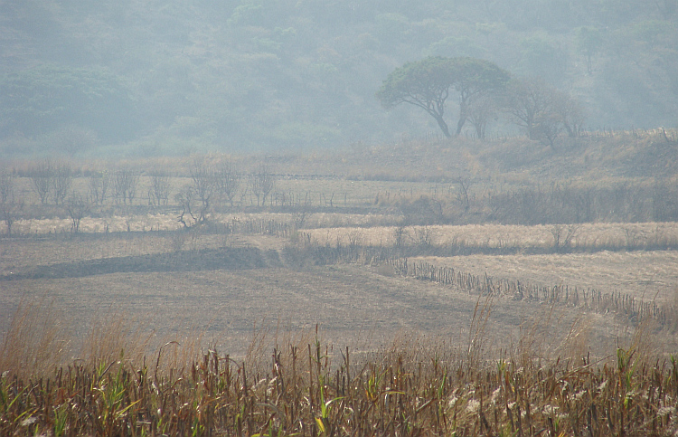 Landscape between Tuxtla Gutiérrez and the coast