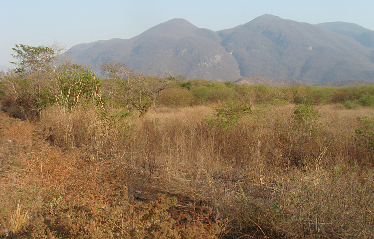 Landschap tussen Tehuantepec en Oaxaca