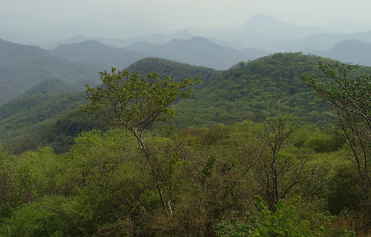 Landschap tussen Tehuantepec en Oaxaca