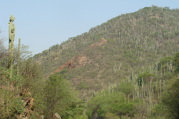 Landscape between Tehuantepec and Oaxaca