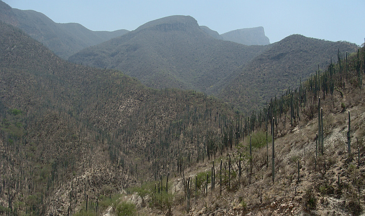 Landschap tussen Oaxaca en Puebla