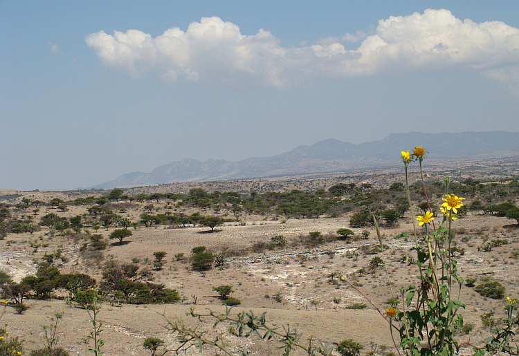 Landschap tussen San Miguel de Allende en Guanajuato