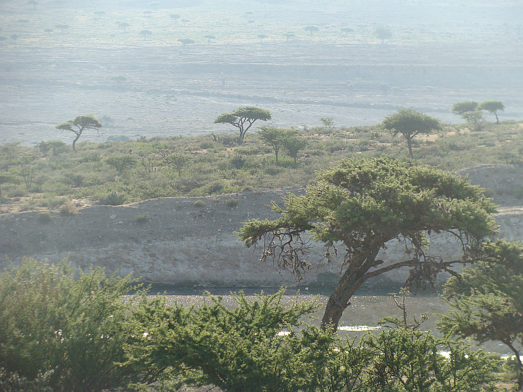 Landschap in Centraal Mexico