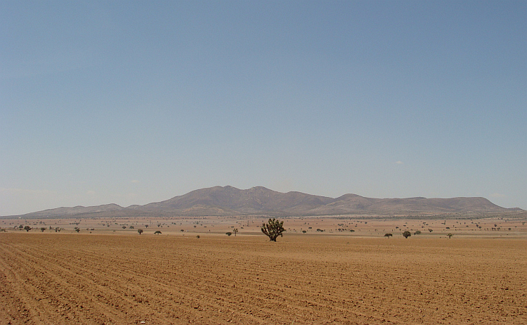 Landscape in Central Mexico