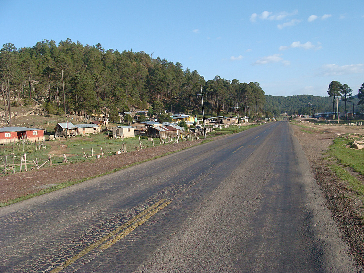 Landscape in the Sierra Madre Occidental near Durango