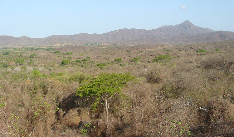 Landschap bij Mazatlán