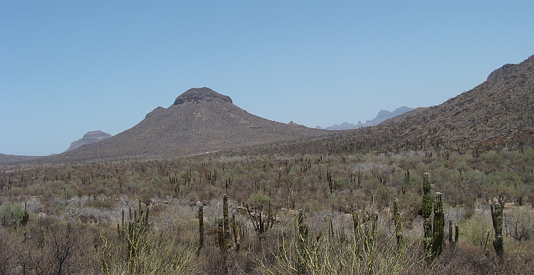 Baja California