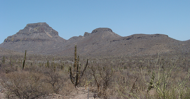 Baja California