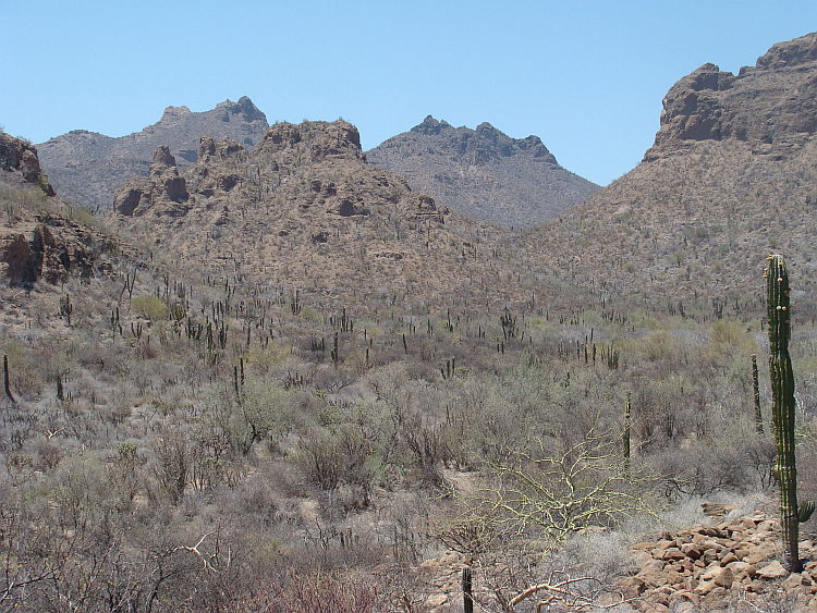 Baja California