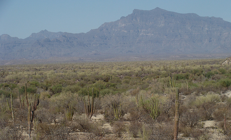 Baja California