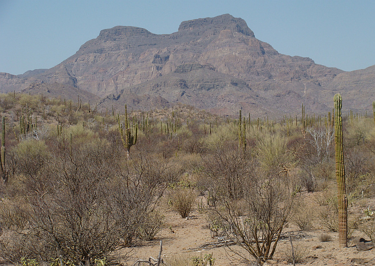 Baja California