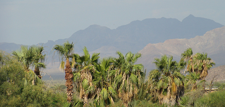 Baja California