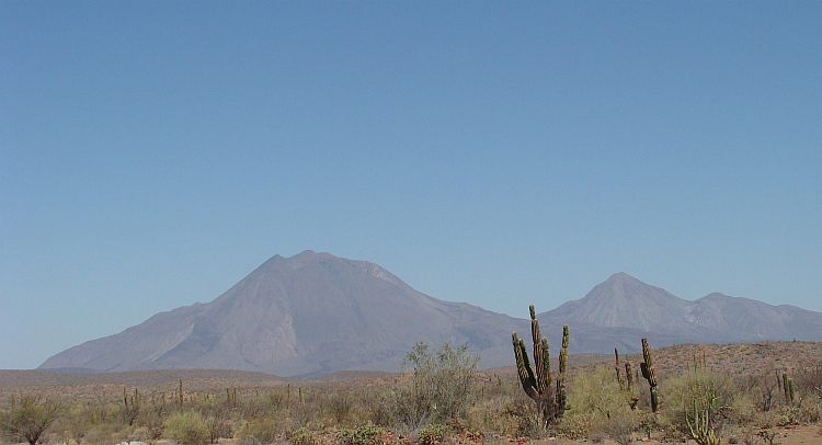 The desert of Baja California