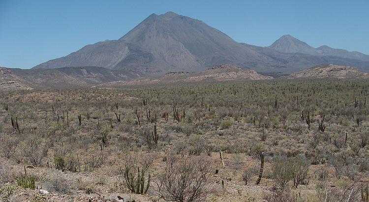 Baja California