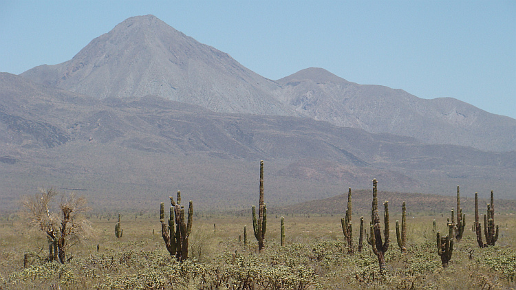 Baja California