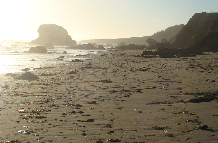 San Simeon State Park