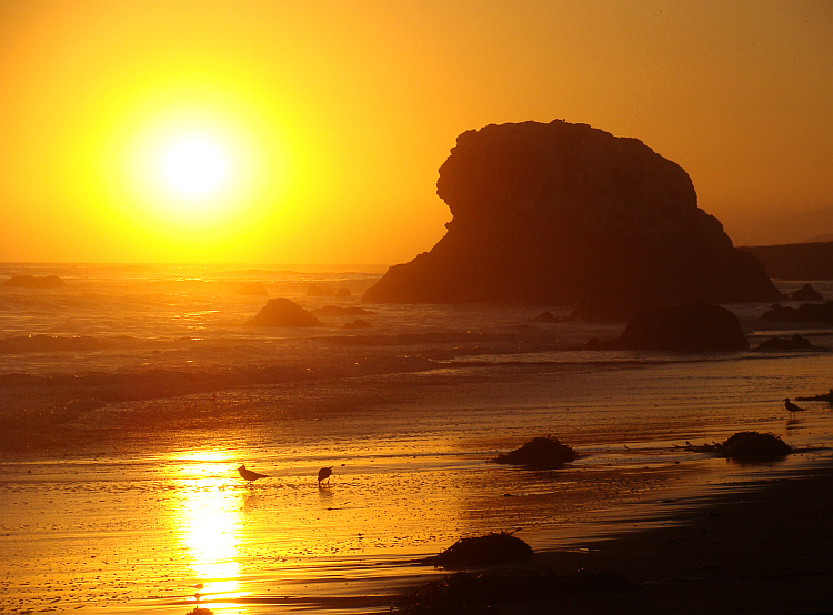 San Simeon State Park