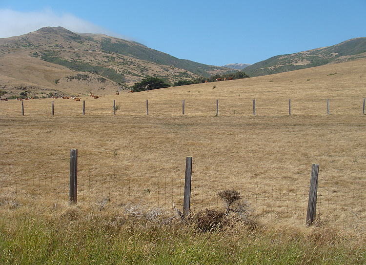 Landschap in Big Sur