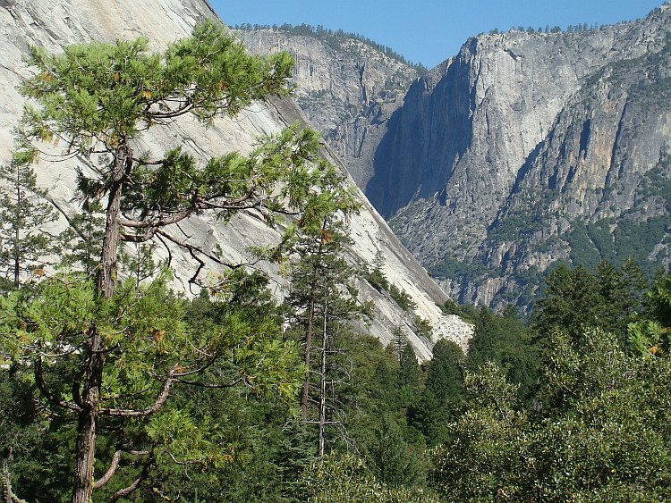 Yosemite National Park