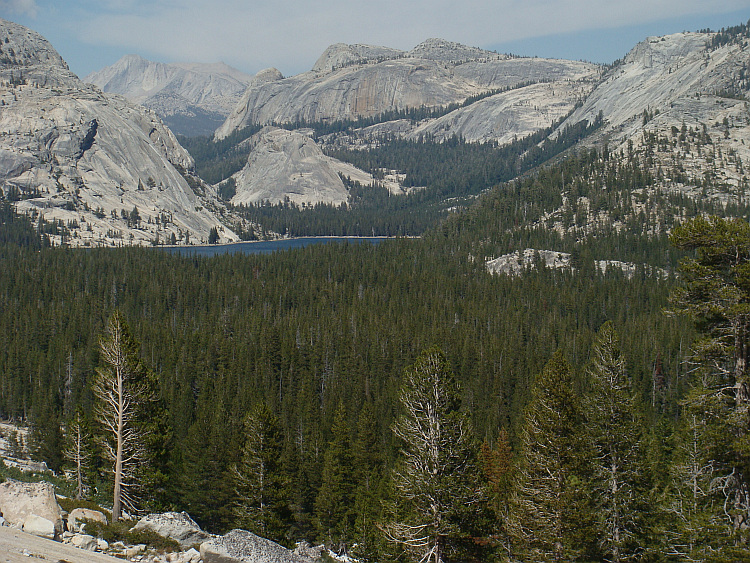 Yosemite National Park