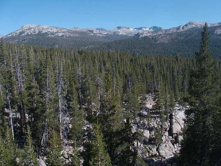 Yosemite National Park