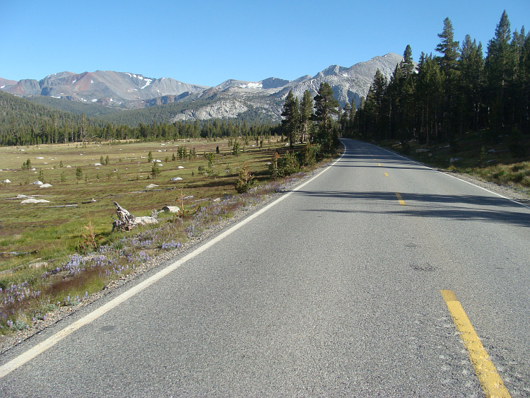 Yosemite National Park