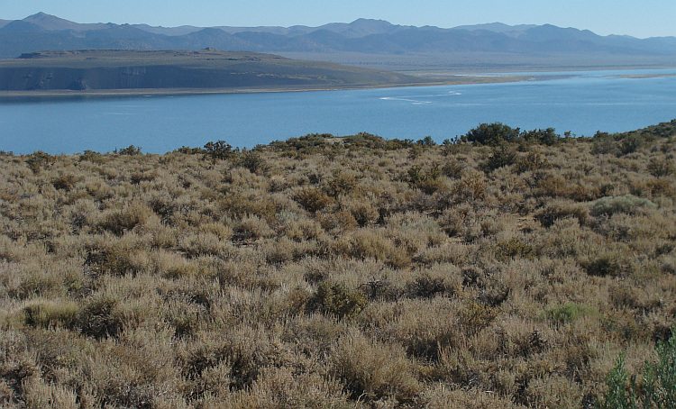 Mono Lake