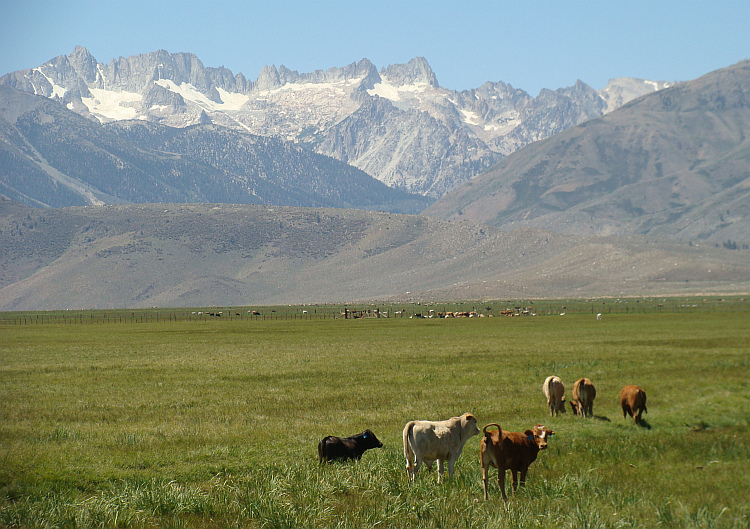 Landscape near Bridgeport