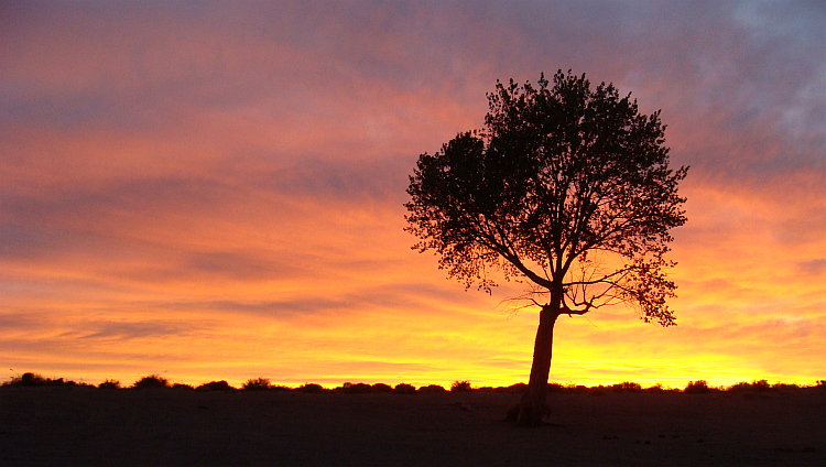 Zonsondergang in Lahoritan State Recreation Area