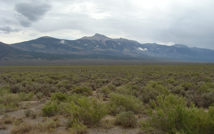 Highway 50 bij het Great Basin National Park