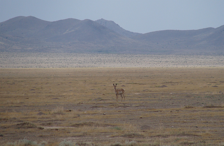 Landschap tussen Garrison en Cedar City