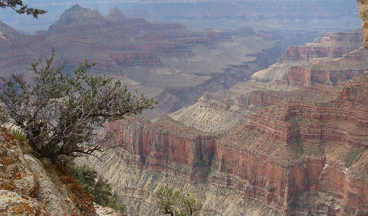 The Grand Canyon, Arizona