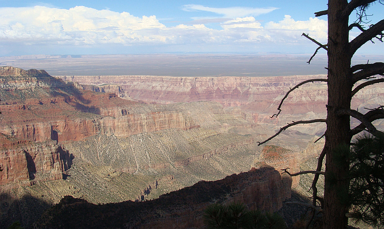 The Grand Canyon