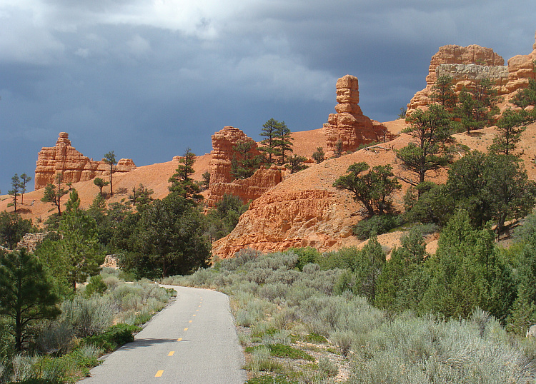 The Red Canyon