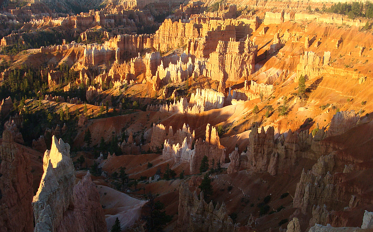 Zonsopkomst in Bryce Canyon