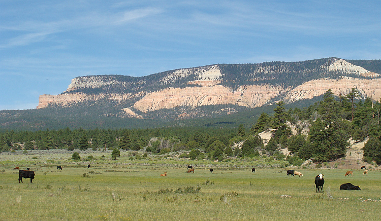 Grand Staircase-Escalante